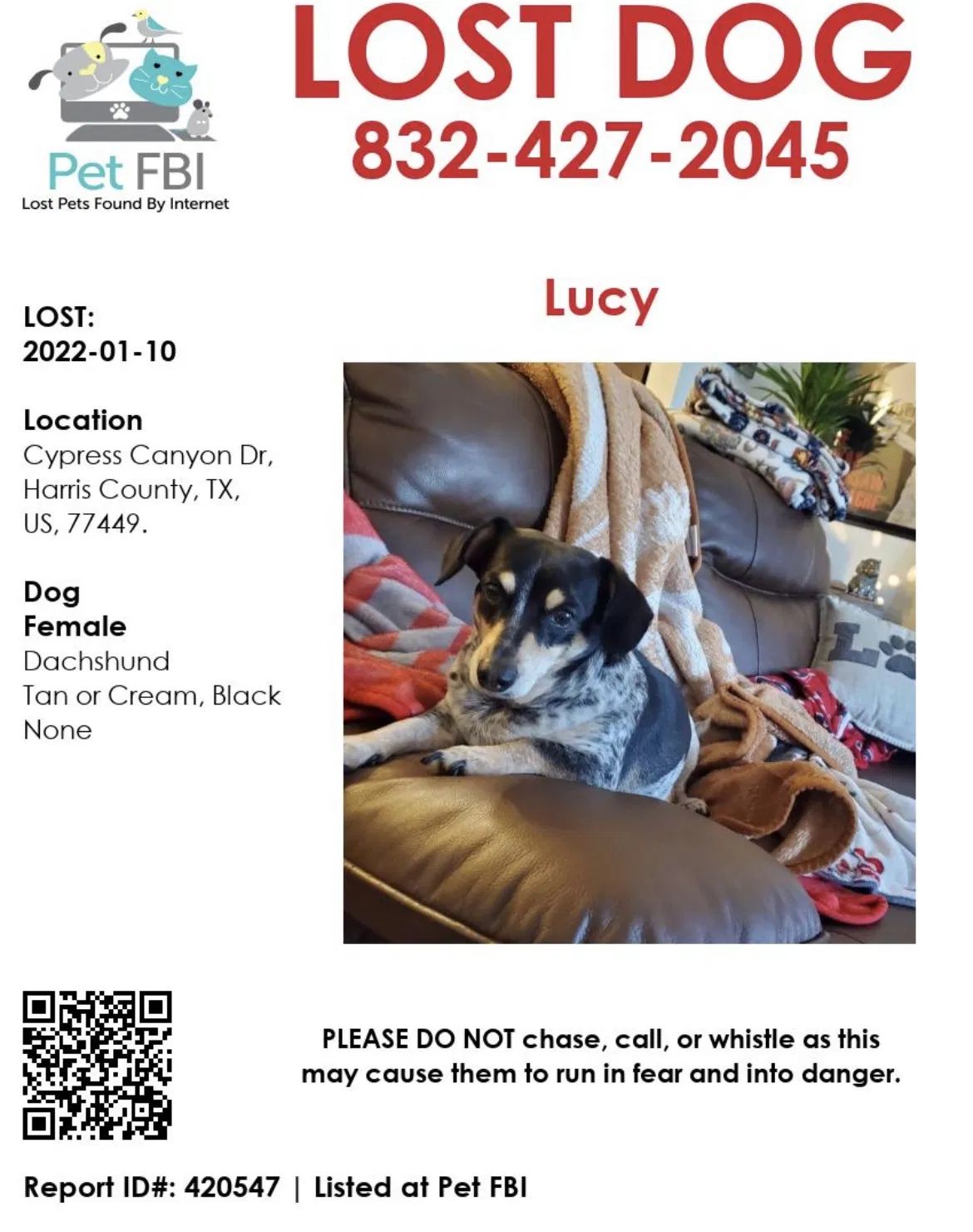 Lost dog in Unknown, TX, 77499