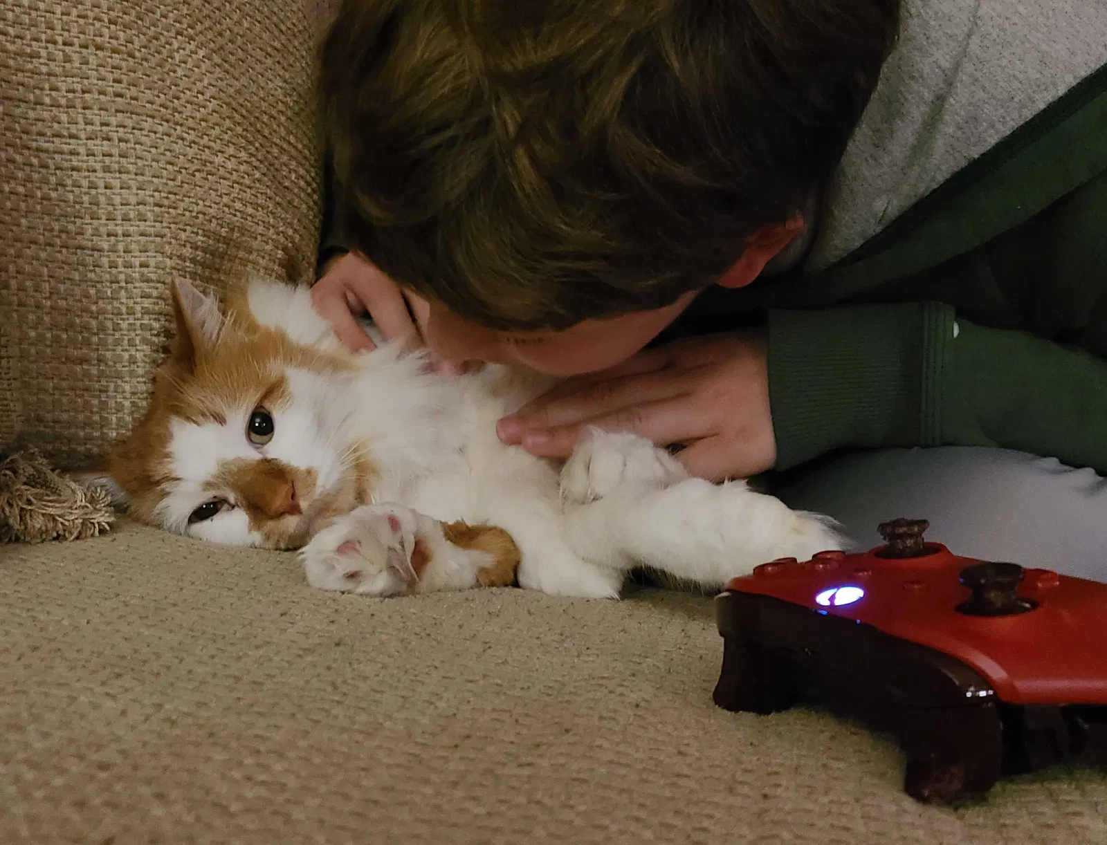 Lost cat in Lancaster, CA, 93536