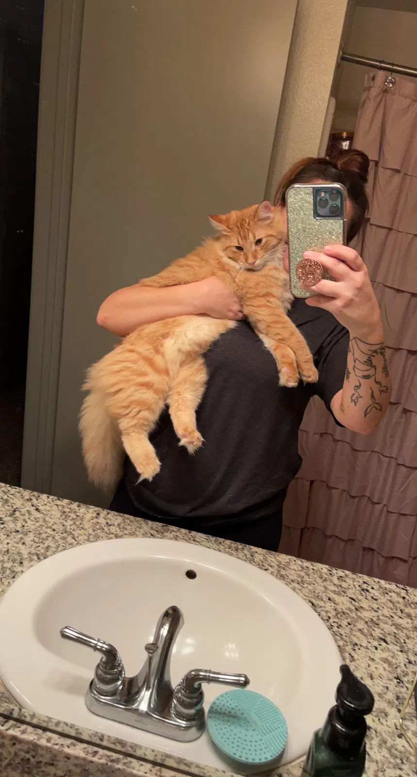 Lost cat in Fort Worth, TX, 76177