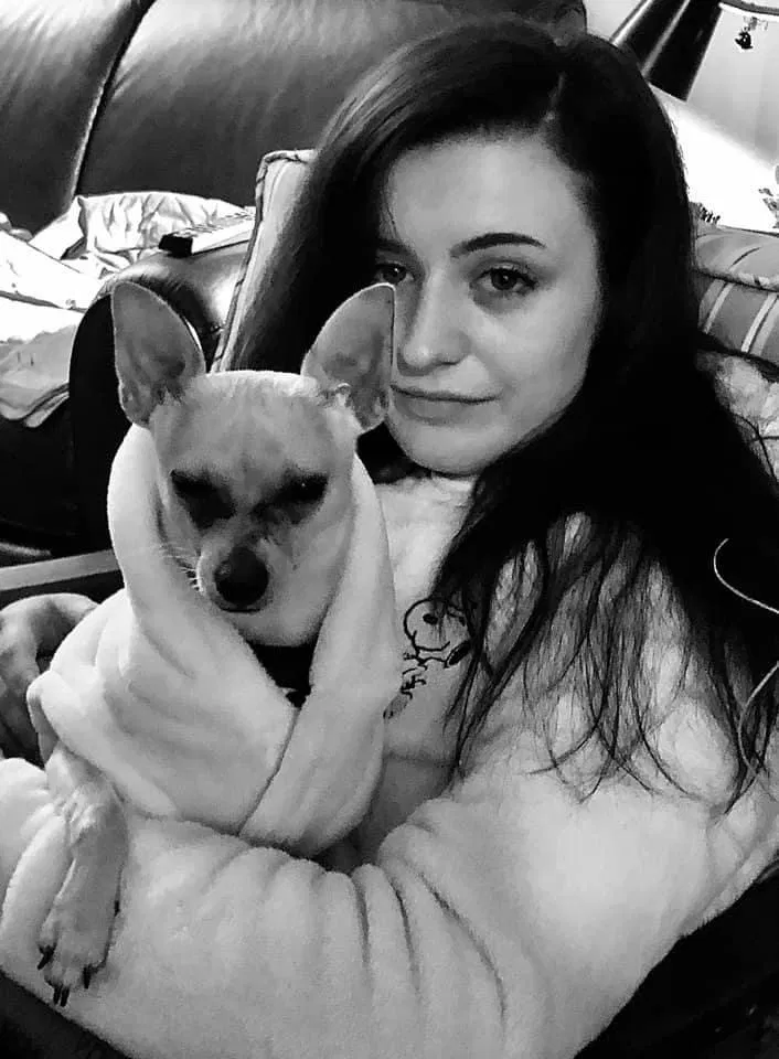 Lost dog in San Francisco, CA, 94133