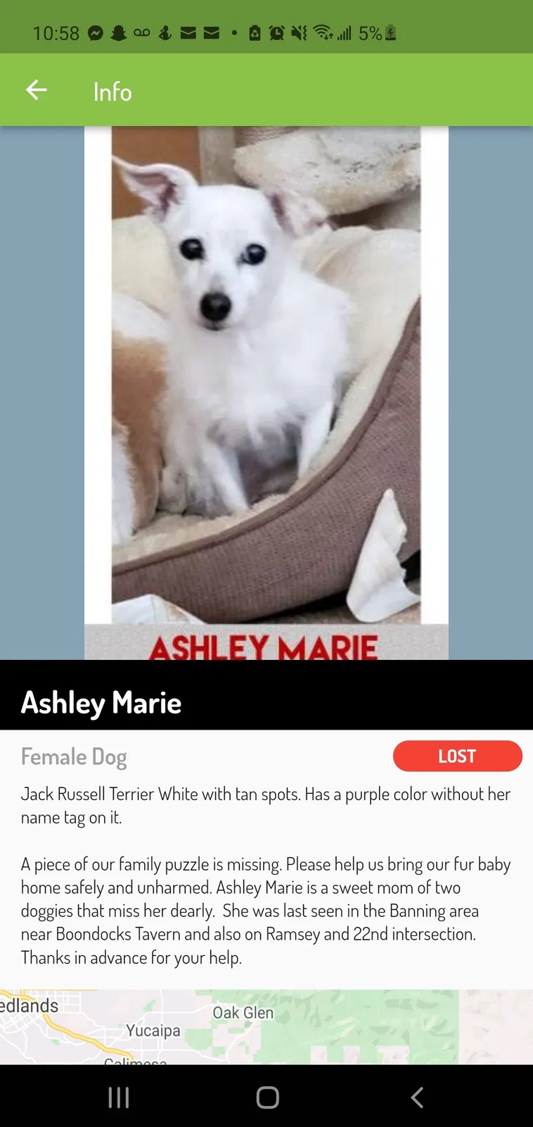 Lost dog in Beaumont, CA, 92223