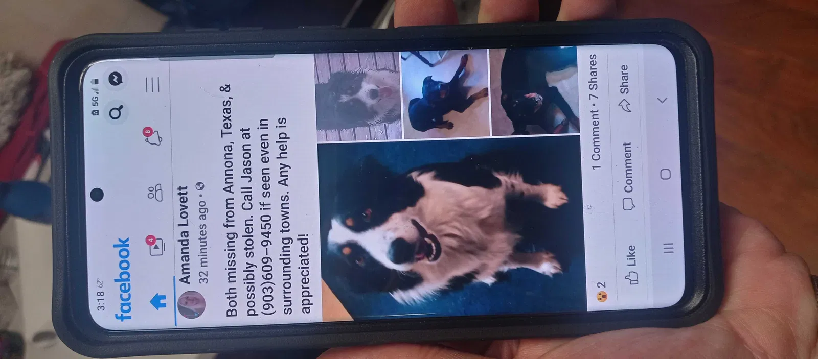 Lost dog in Annona, TX, 75550