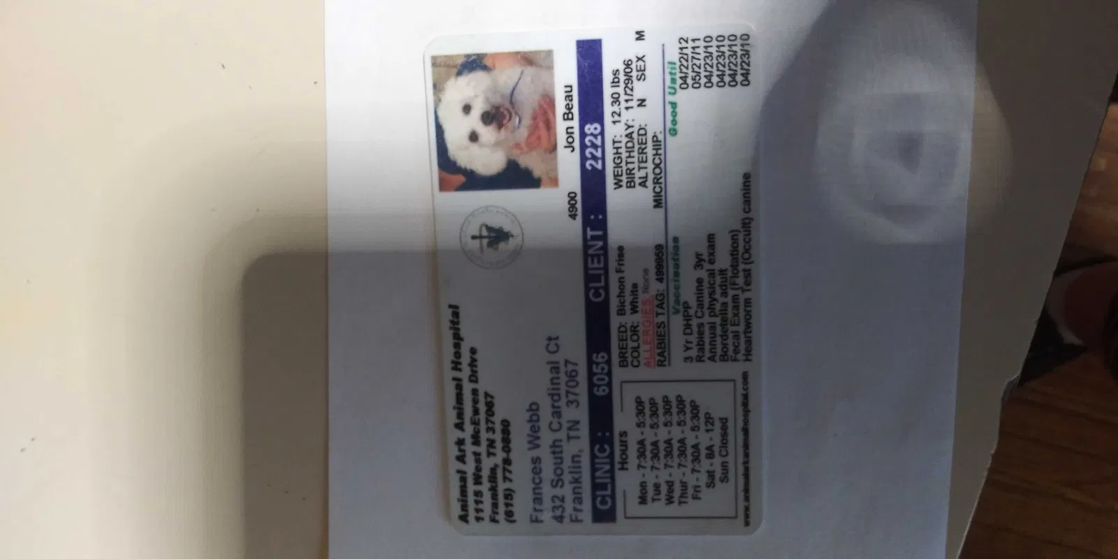 Lost dog in Franklin, TN, 37067