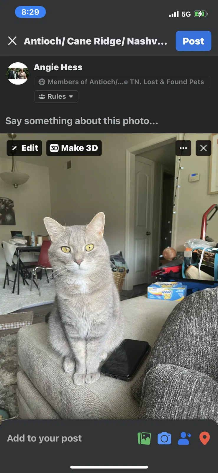 Lost cat in Nashville, TN, 37211