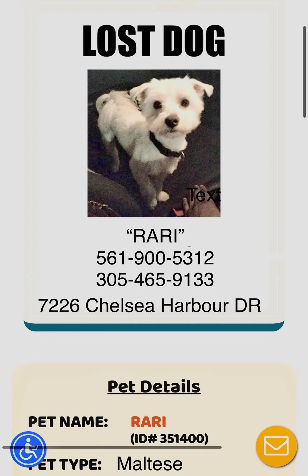 Lost dog in Orlando, FL, 32829