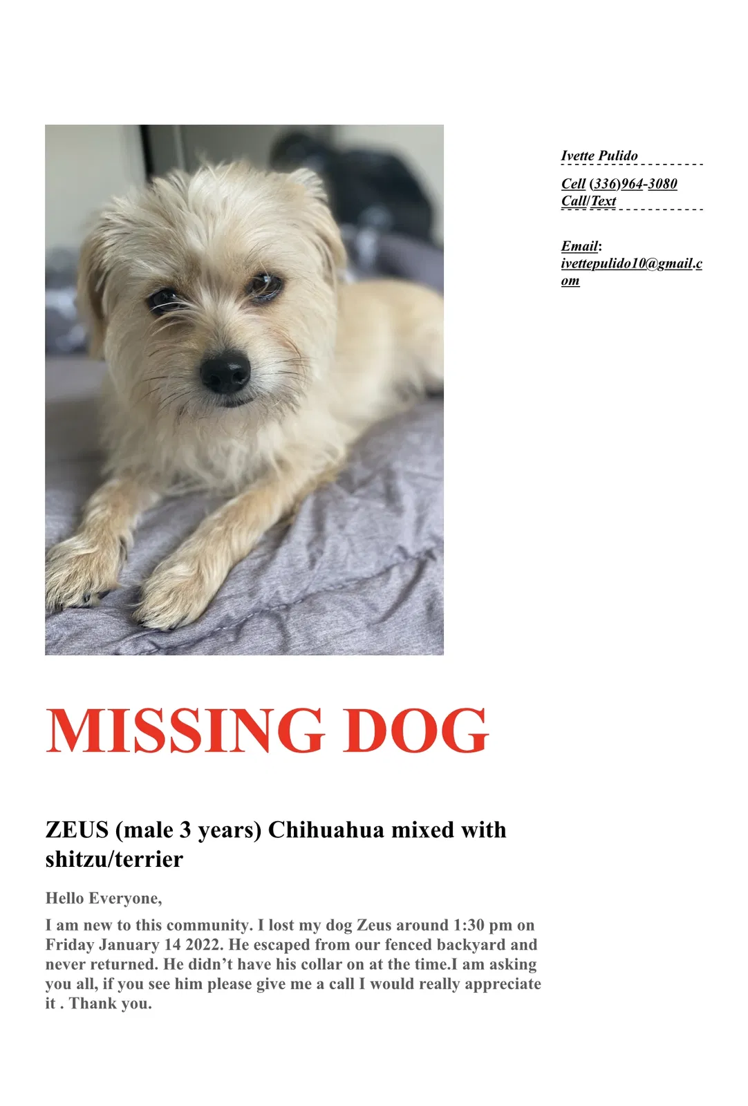 Lost dog in Greensboro, NC, 27405
