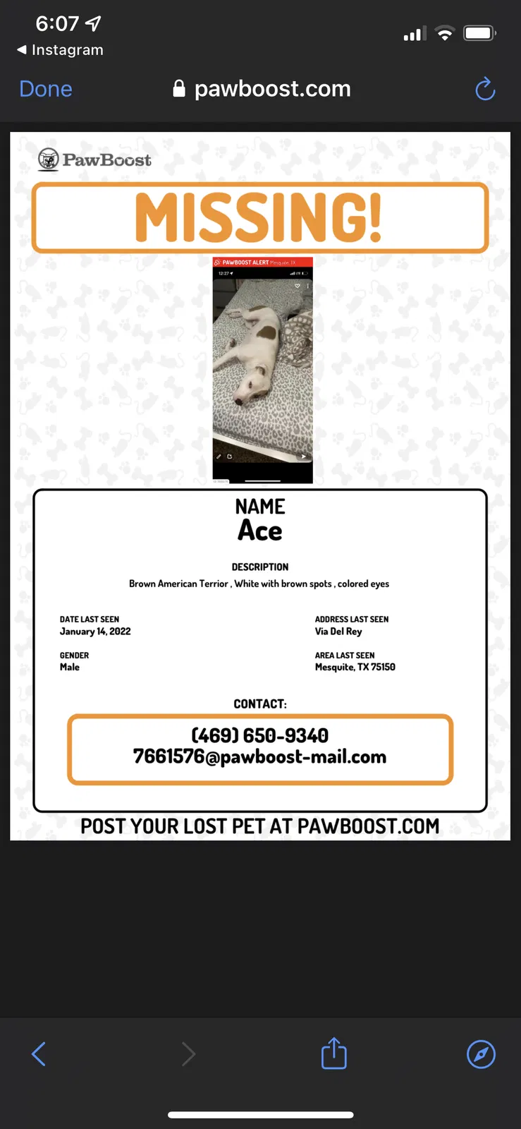 Lost dog in Mesquite, TX, 75150