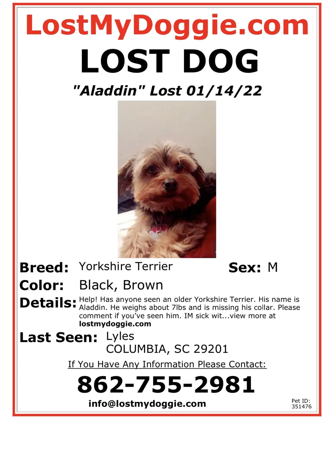Lost dog in Columbia, SC, 29201