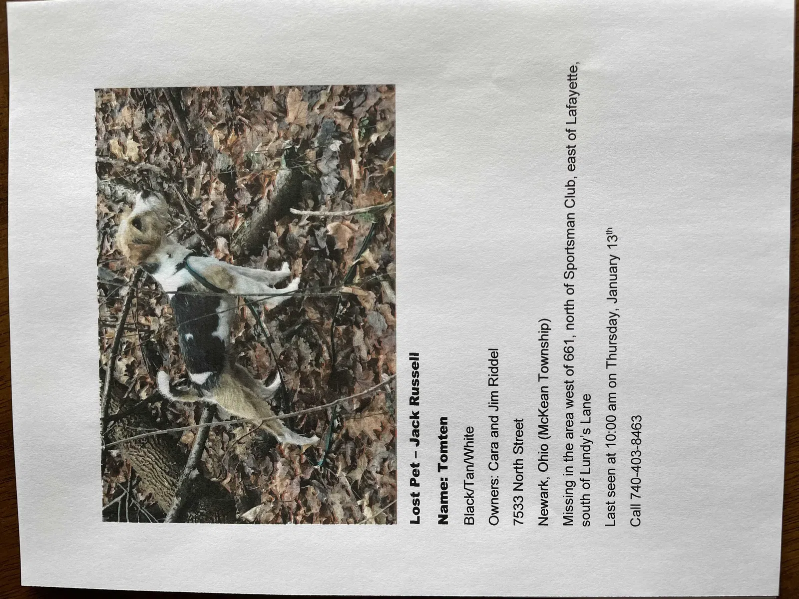 Lost dog in Newark, OH, 43055
