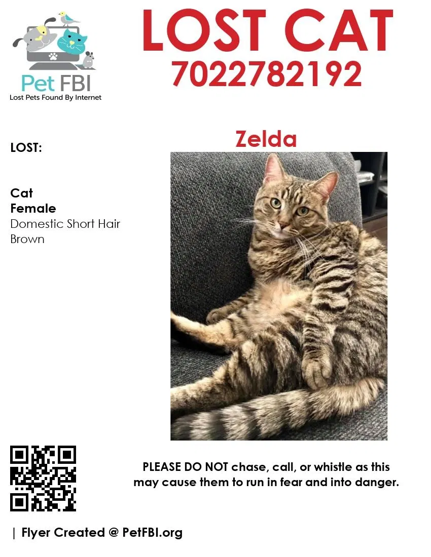 Lost cat in Las Vegas, NV, 89143
