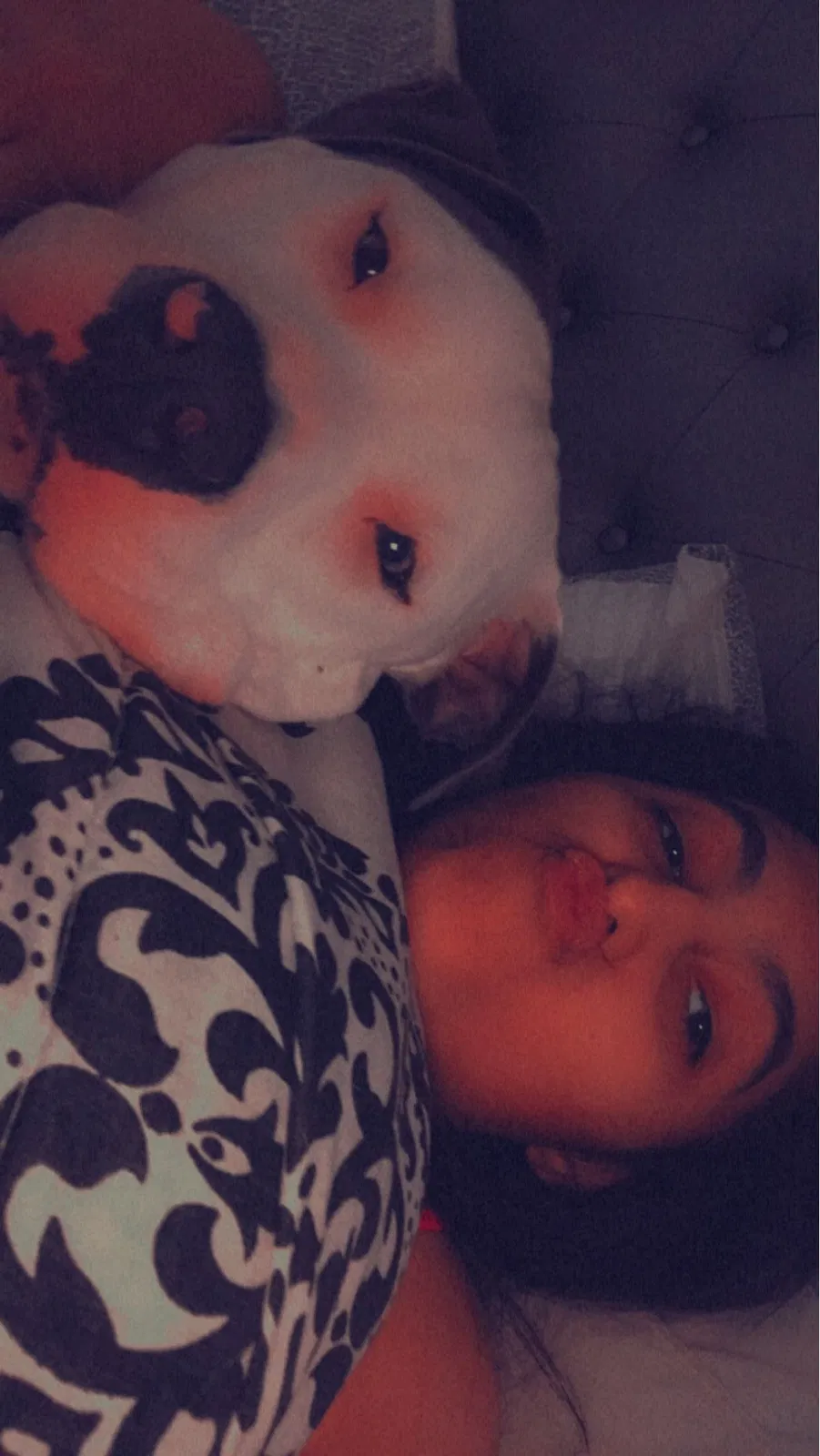 Lost dog in Shreveport, LA, 71108