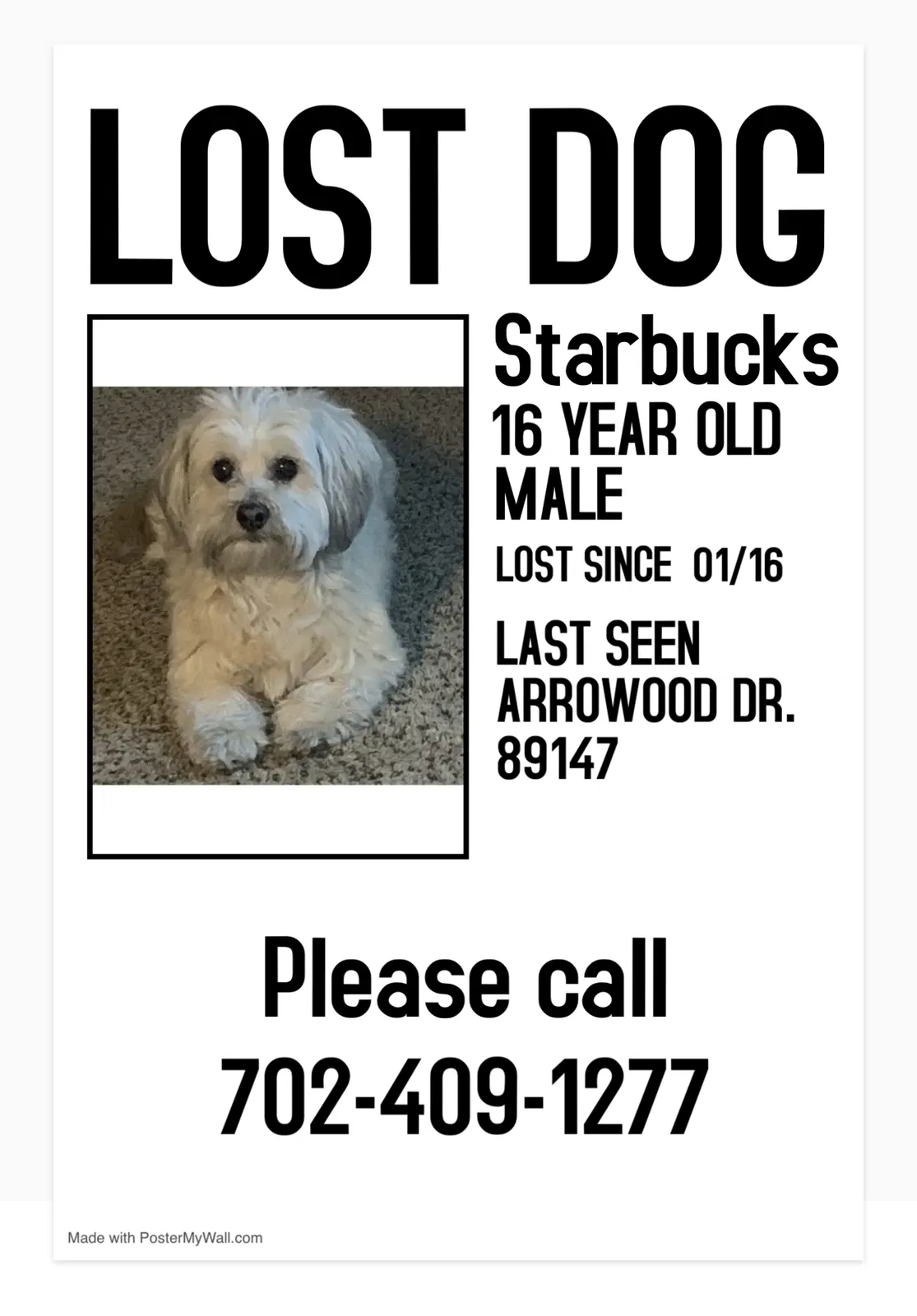 Lost dog in Las Vegas, NV, 89147