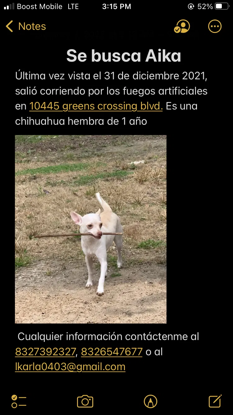 Lost dog in Houston, TX, 77038