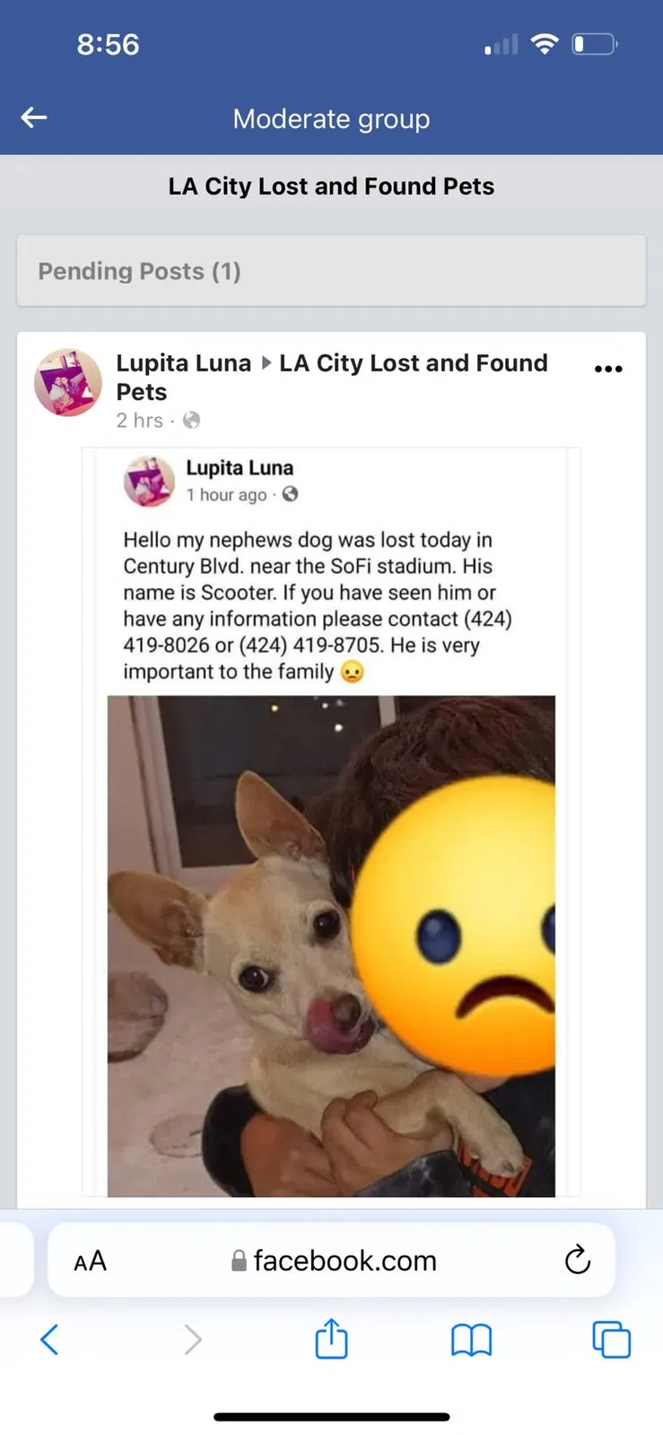 Lost dog in Los Angeles, CA, 90047