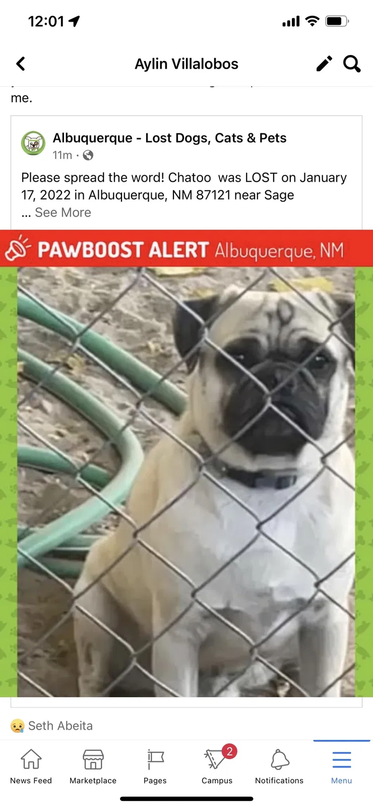 Lost dog in Albuquerque, NM, 87121