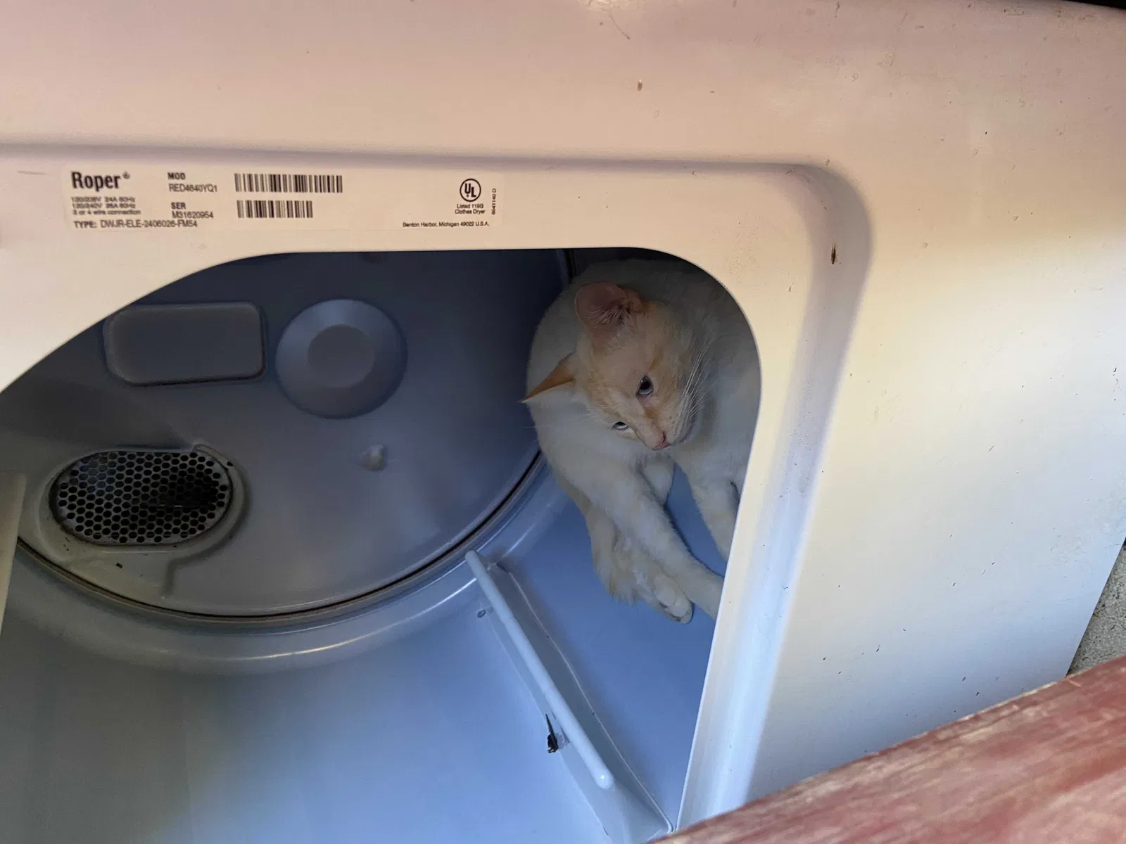 Lost cat in Waxahachie, TX, 75165