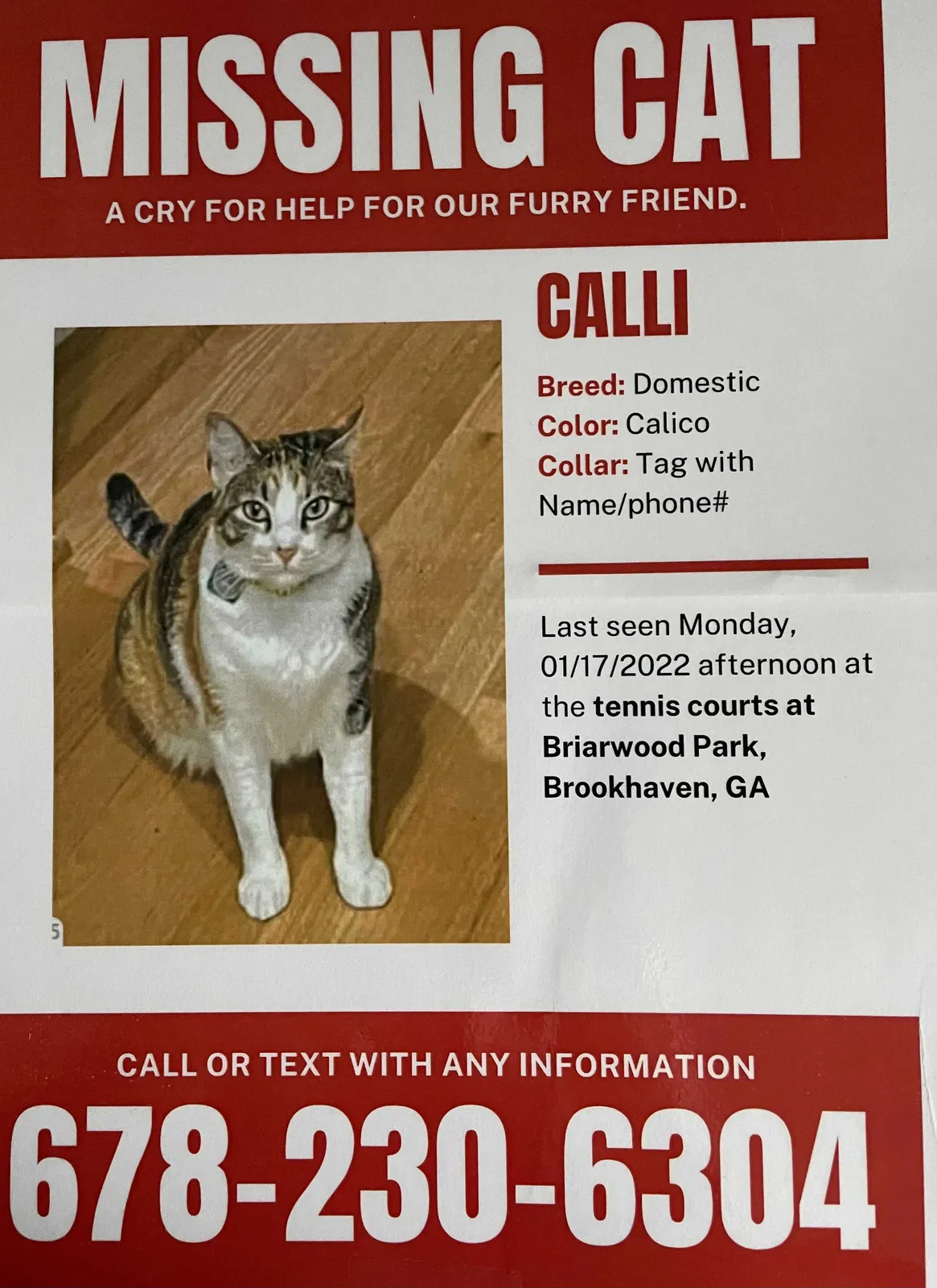 Lost cat in Atlanta, GA, 30319