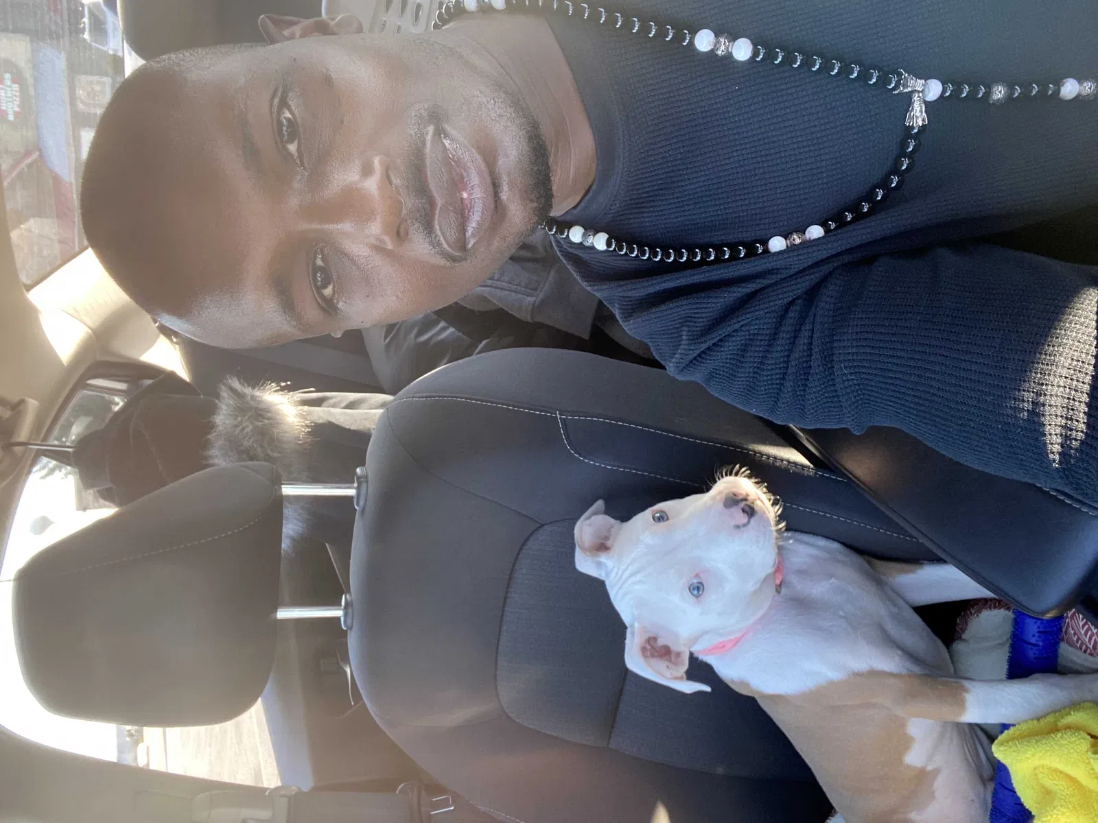 Missing Dog