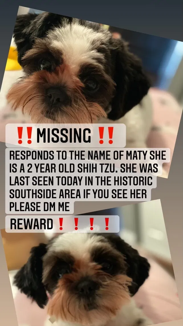 Lost dog in Fort Worth, TX, 76104