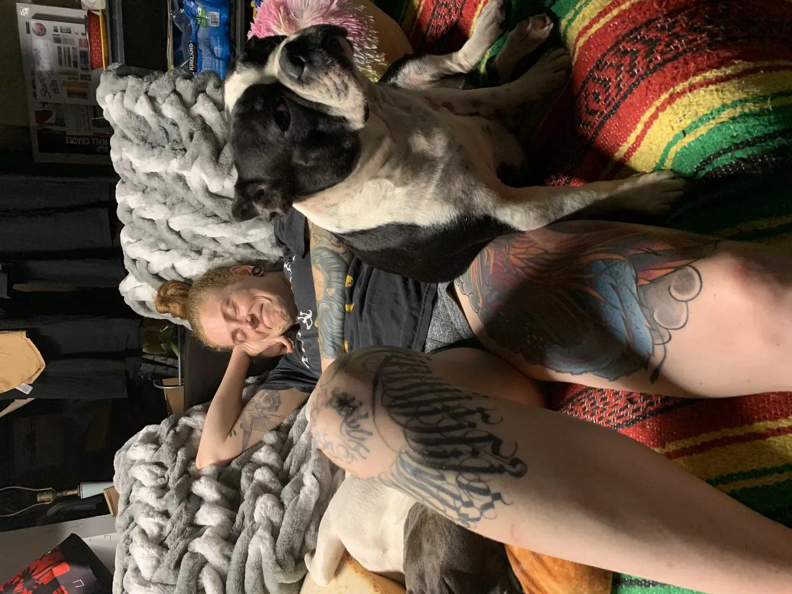 Lost dog in Valley Center, CA, 92082