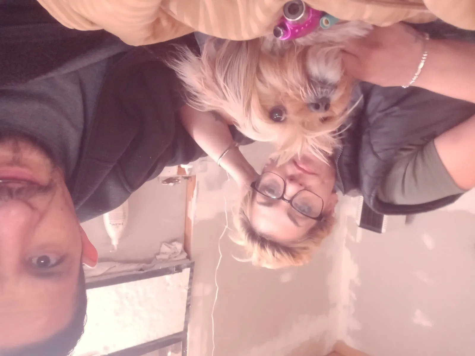 Lost dog in Albuquerque, NM, 87107