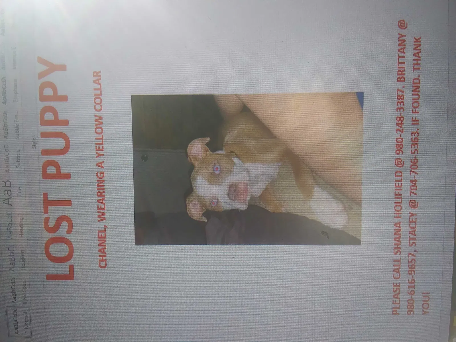 Lost dog in Concord, NC, 28027