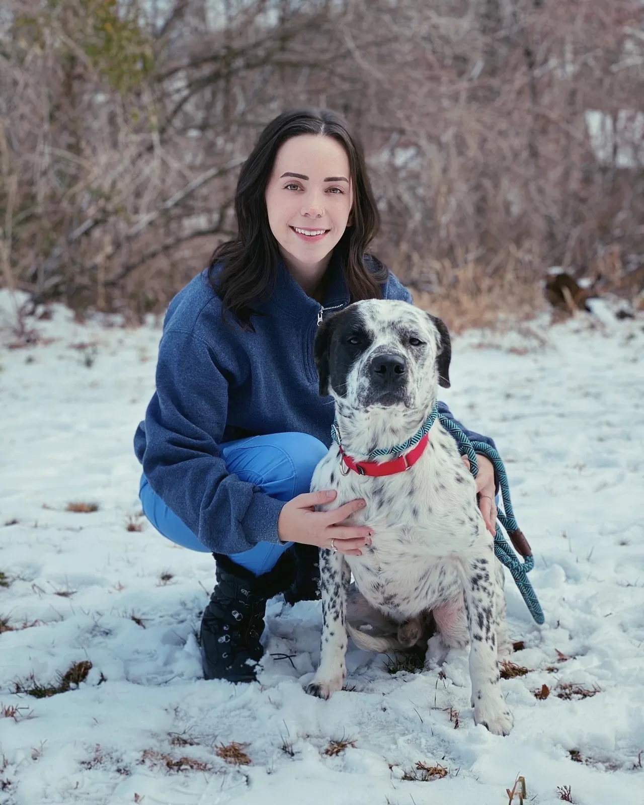 Lost dog in Holden, MO, 64040