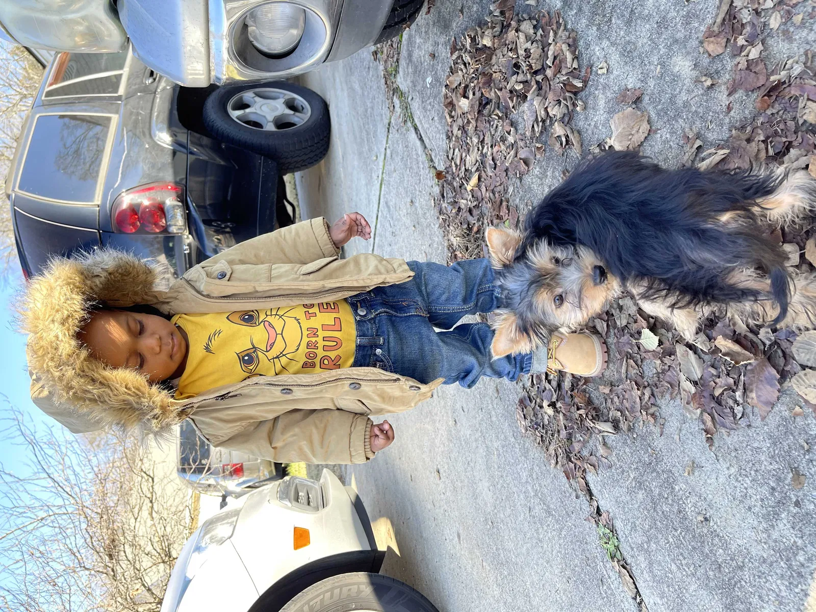 Lost dog in Winder, GA, 30680