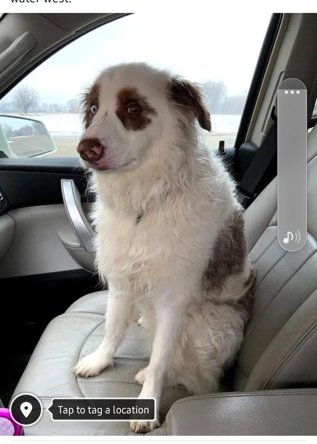 Lost dog in Sioux Falls, SD, 57106