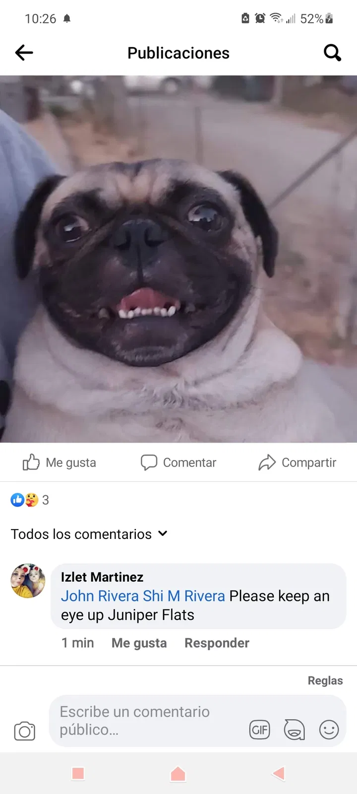 Lost dog in Homeland, CA, 92548