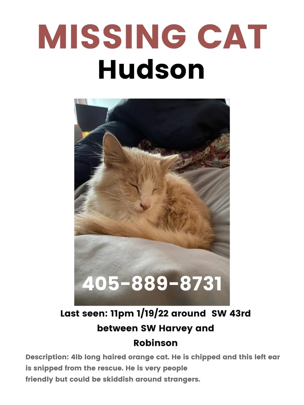 Lost cat in Oklahoma City, OK, 73109