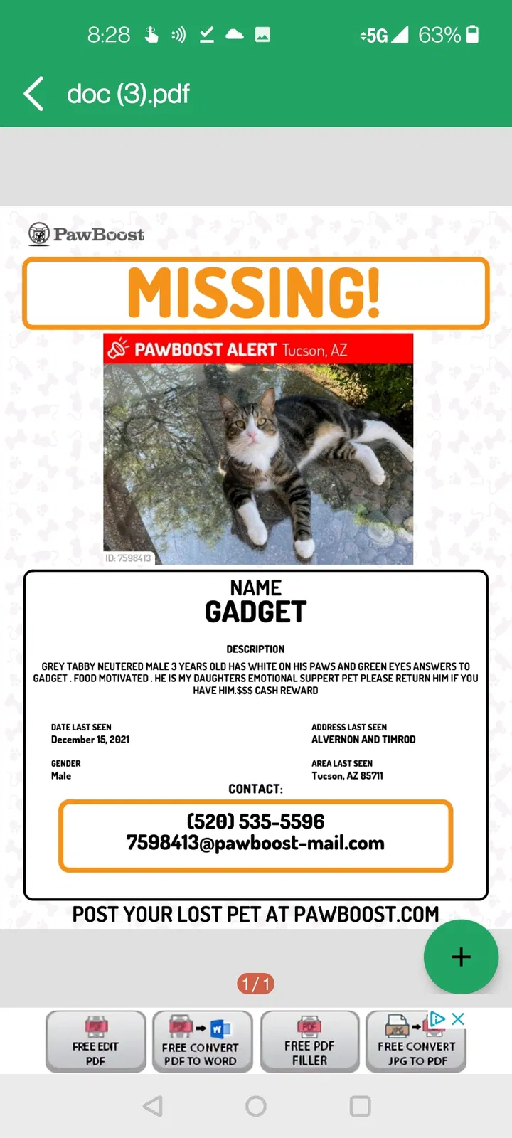 Lost cat in Tucson, AZ, 85711