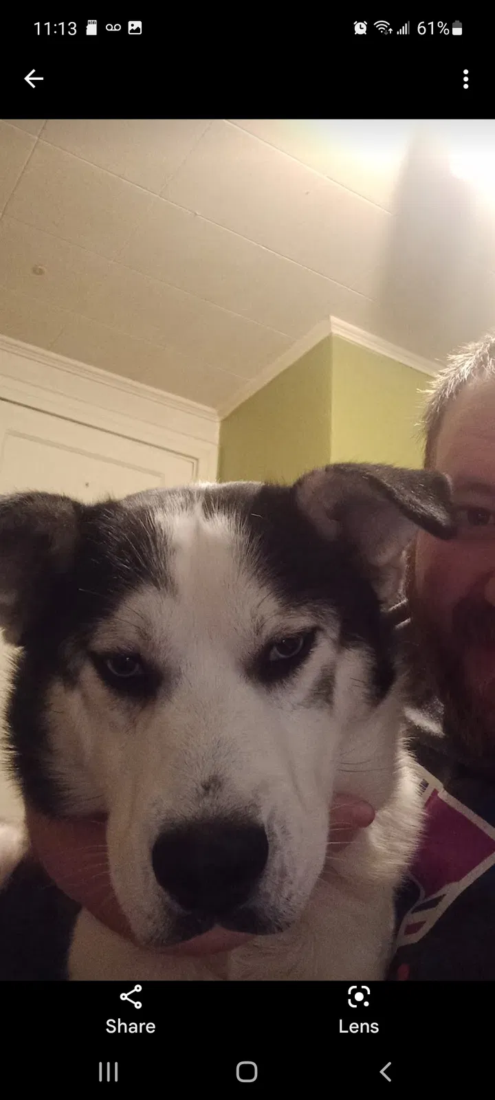 Lost dog in High Point, NC, 27265