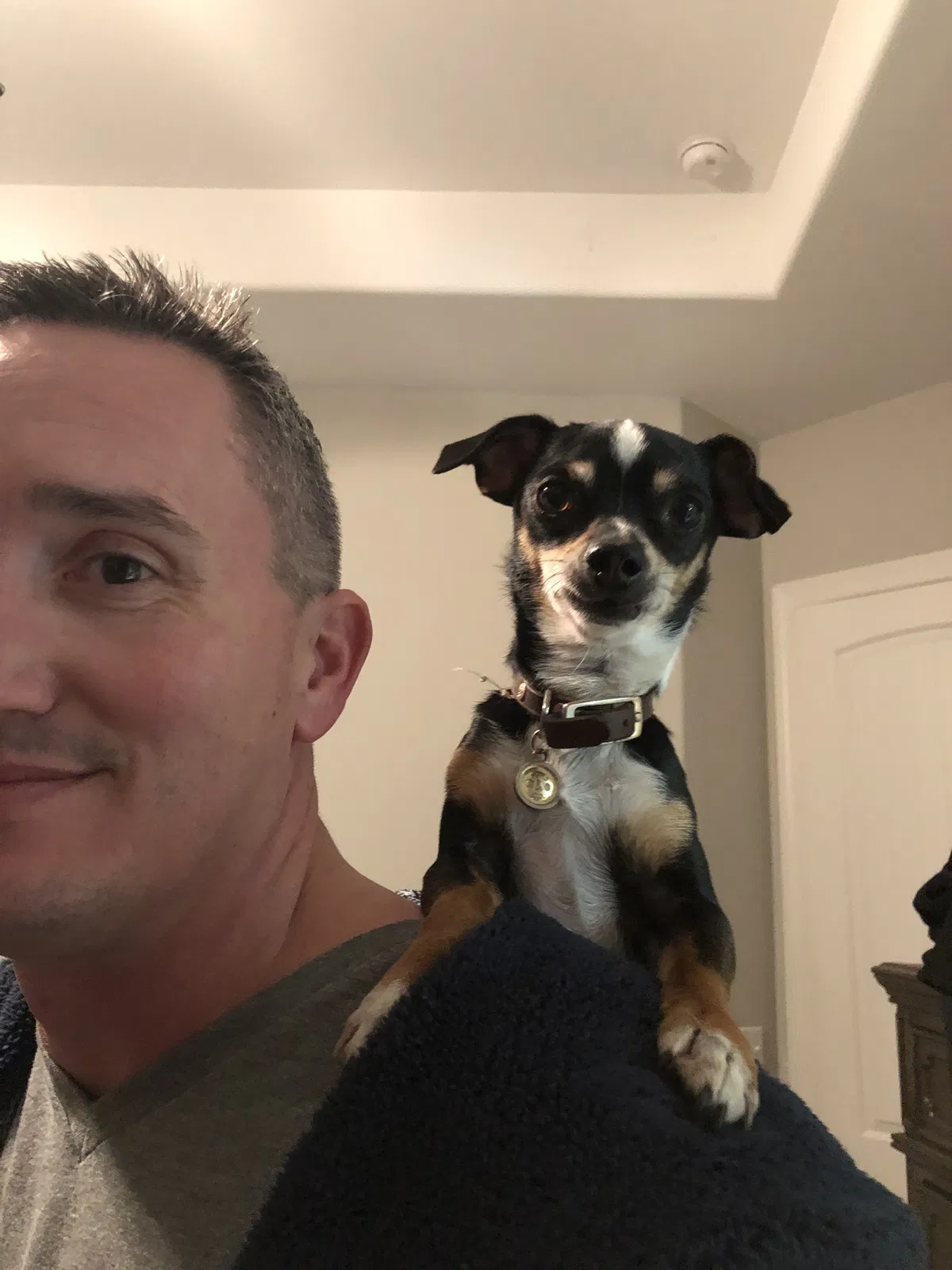 Lost dog in Universal City, TX, 78148