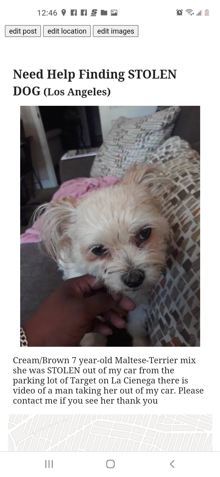 Lost dog in Los Angeles, CA, 90016