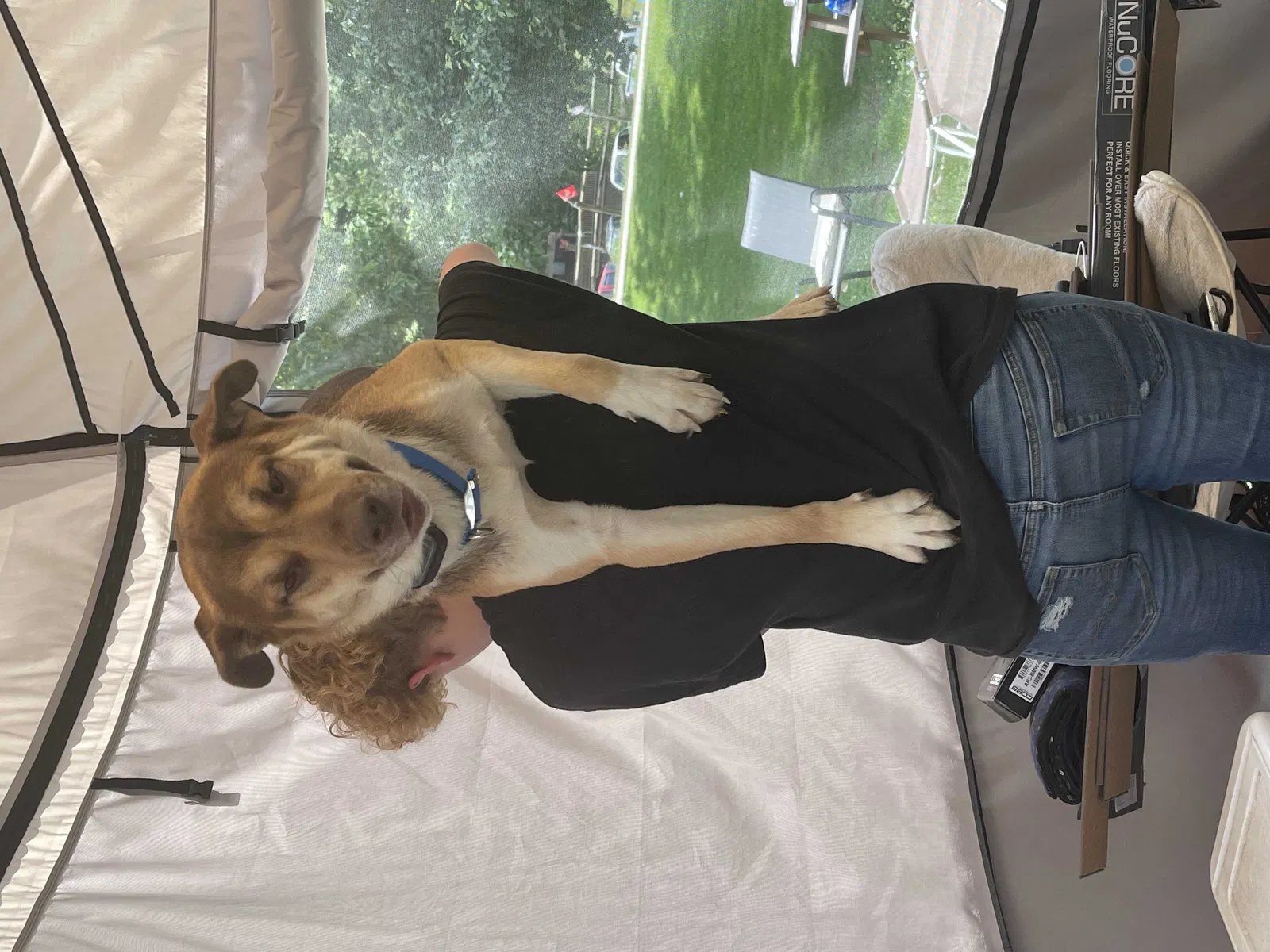 Lost dog in Adams, TN, 37010