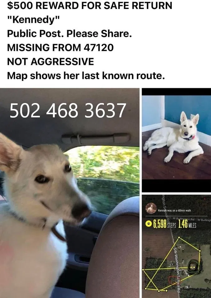 Lost dog in Fredericksburg, IN, 47120
