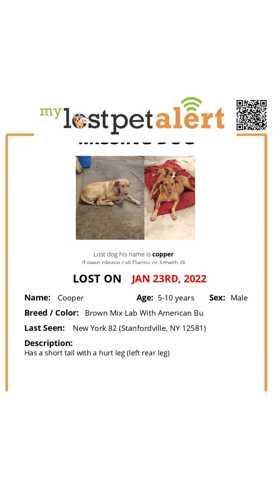 Lost dog in Stanfordville, NY, 12581