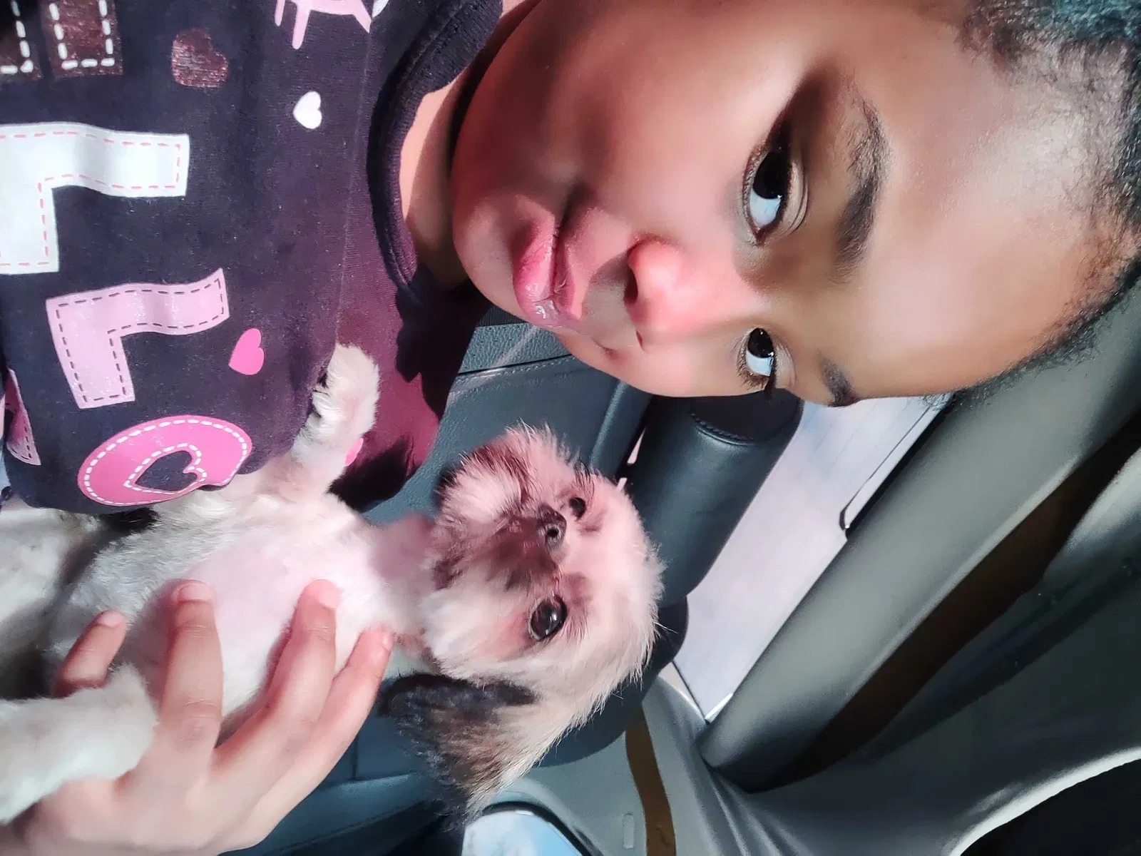 Lost dog in Unknown, TX, 82612