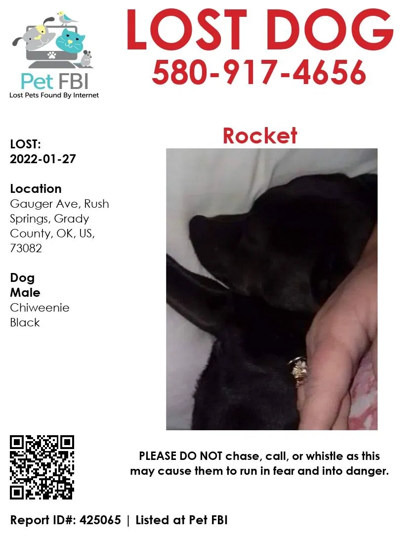 Lost dog in Rush Springs, OK, 73082