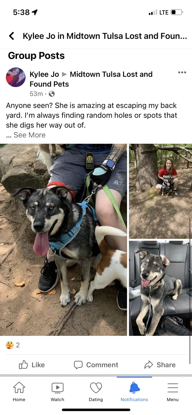 Lost dog in Tulsa, OK, 74127