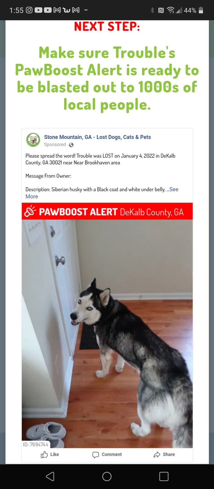 Lost dog in Decatur, GA, 30034