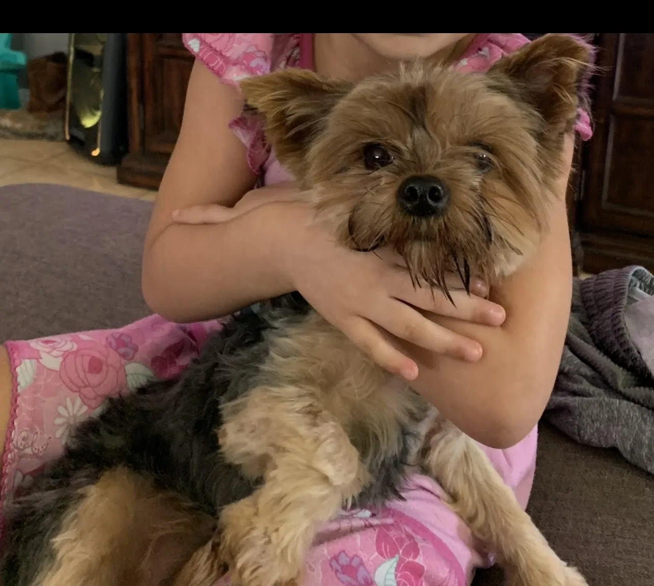 Lost dog in San Antonio, TX, 78263