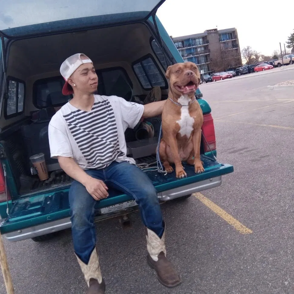Lost dog in Brighton, CO, 80602