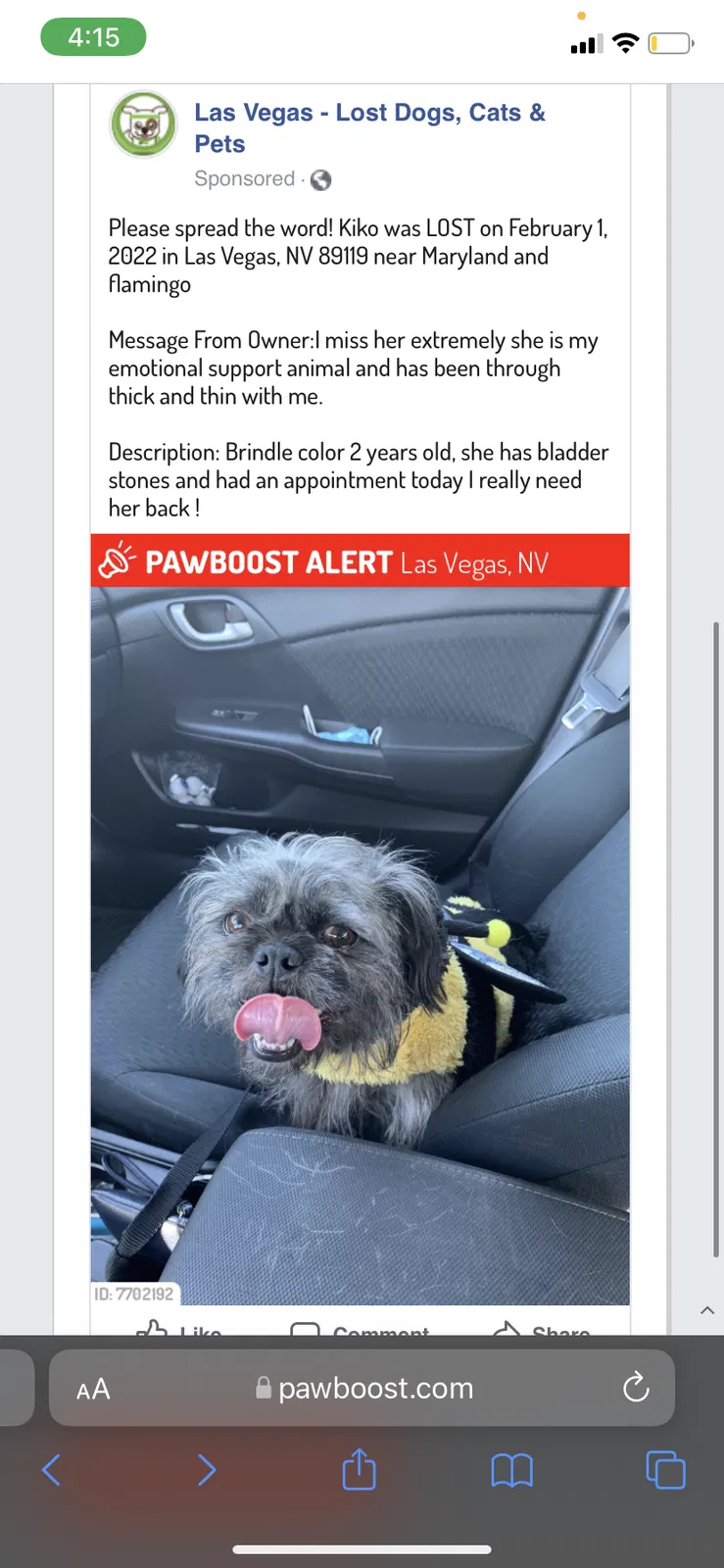 Lost dog in Las Vegas, NV, 89119