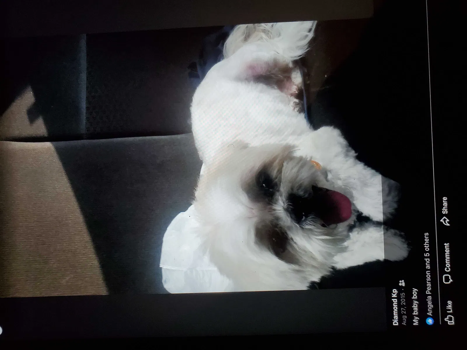 Lost dog in Tulsa, OK, 74114