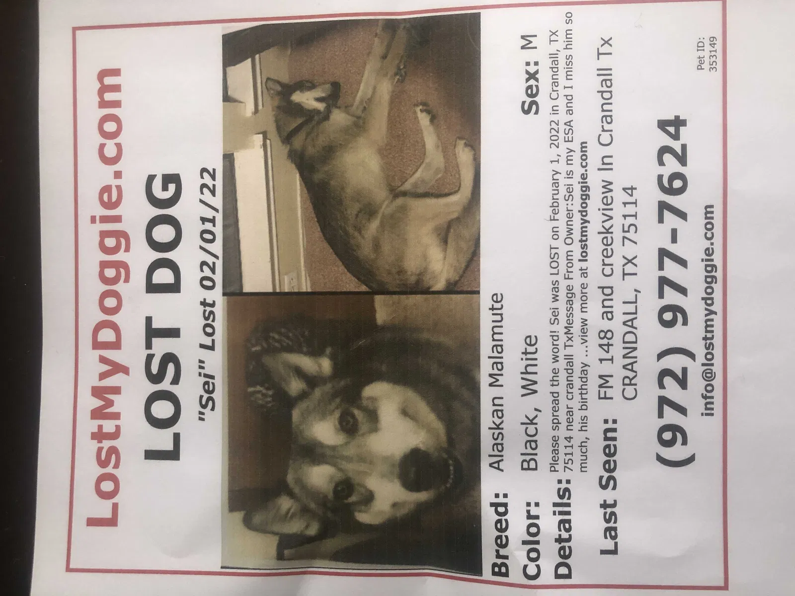 Lost dog in Crandall, TX, 75114