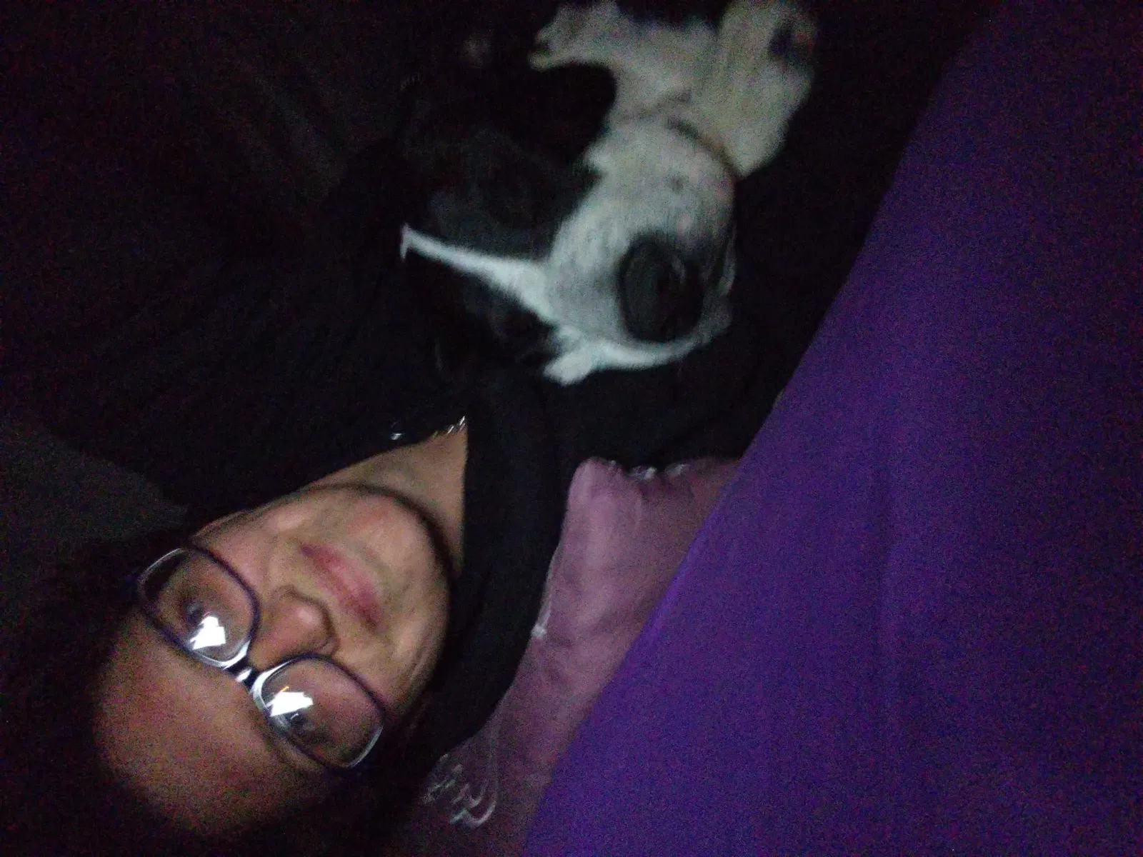 Lost dog in Unknown, TX, 0