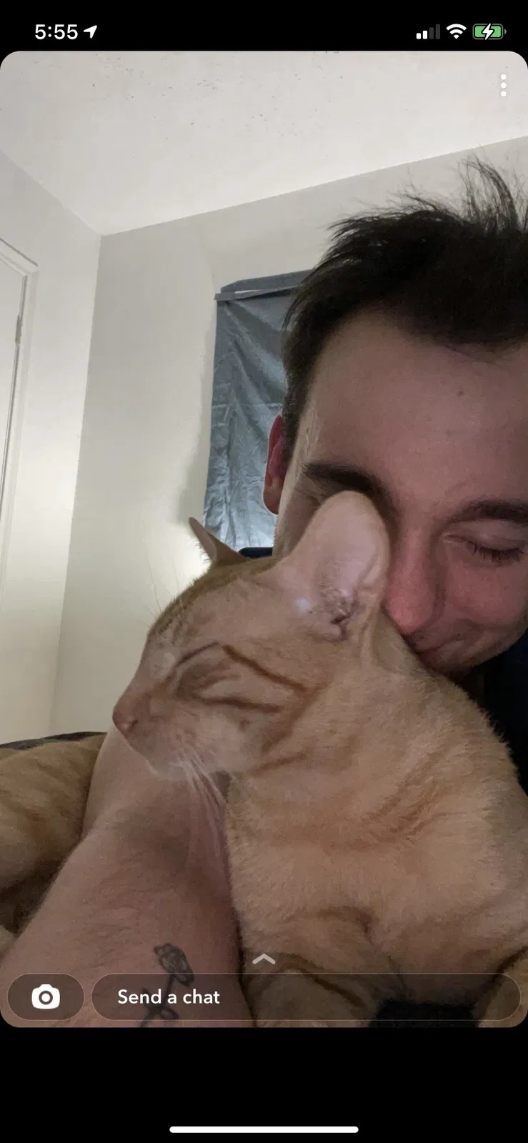 Lost cat in Katy, TX, 77449