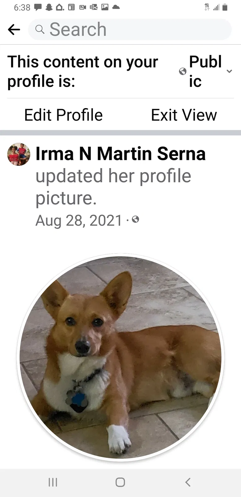 Lost dog in Taft, TX, 78390